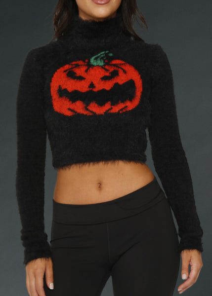 Fuzzy Knit Cropped Pumpkin Sweater